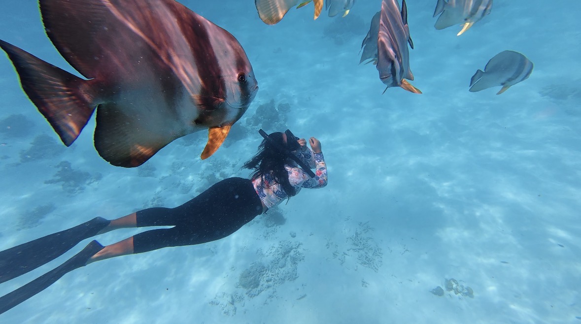 Snorkeling, Goidhoo, Maldives